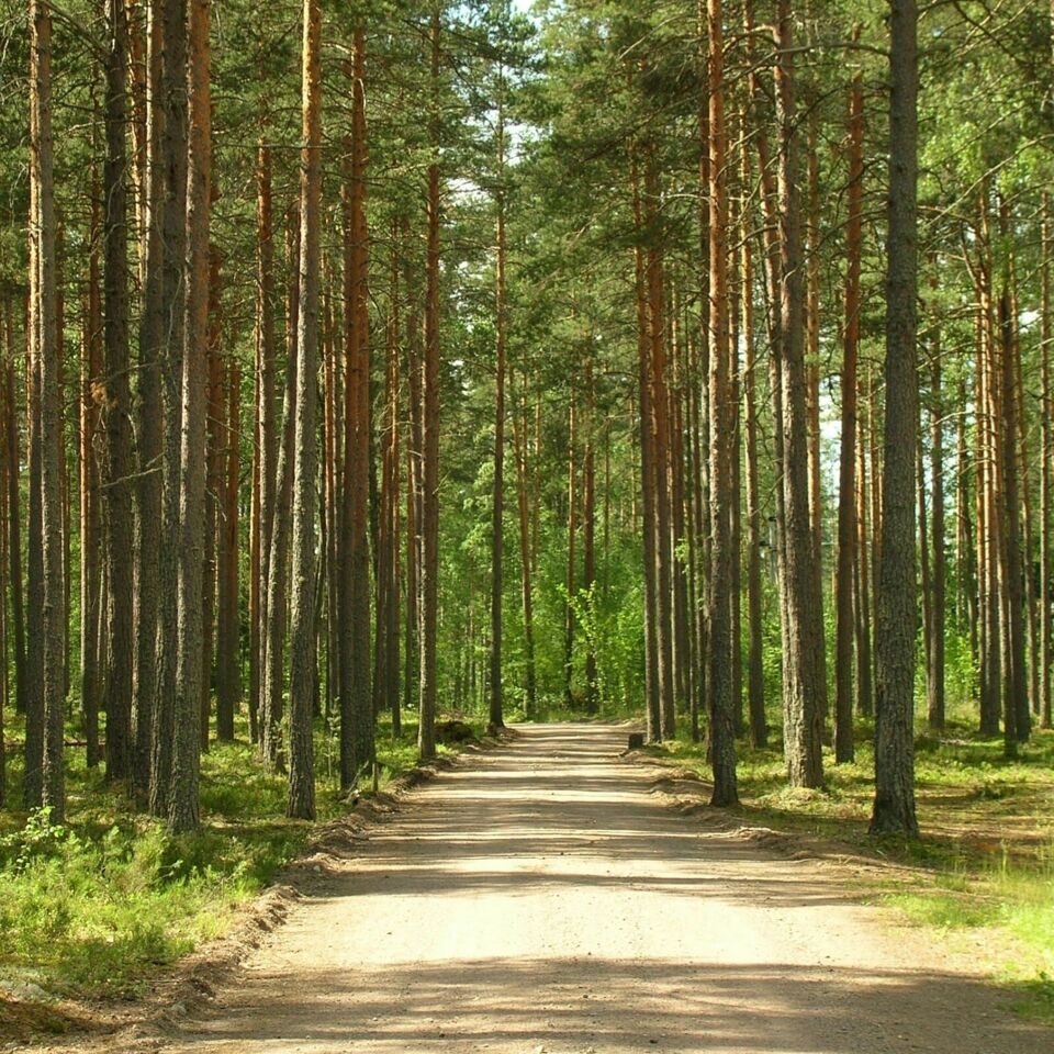 ГАВАНЬ ПЛЮС